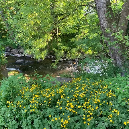 Appartamento Mit Garten, Grill Und Thermomix Ühlingen-Birkendorf